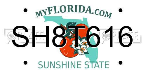 SH8T616 Florida License Plate