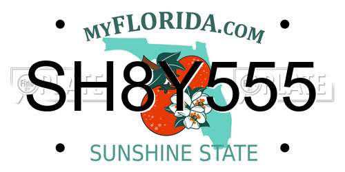 SH8Y555 Florida License Plate