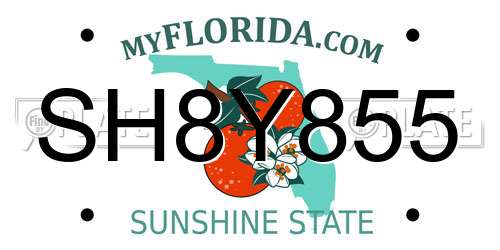 SH8Y855 Florida License Plate