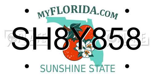 SH8Y858 Florida License Plate