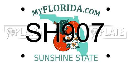 SH907 Florida License Plate