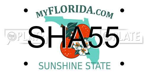 SHA55 Florida License Plate