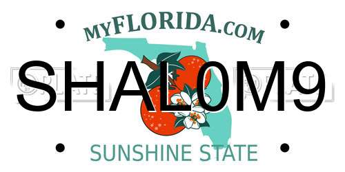 SHAL0M9 Florida License Plate