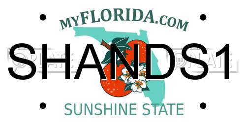 SHANDS1 Florida License Plate