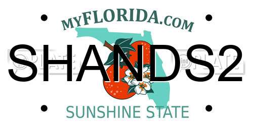 SHANDS2 Florida License Plate
