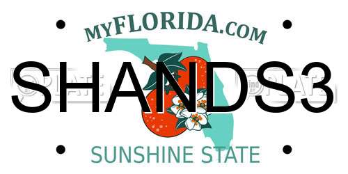 SHANDS3 Florida License Plate