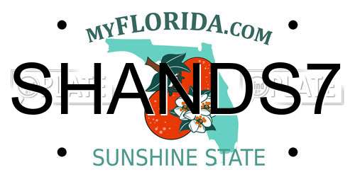 SHANDS7 Florida License Plate