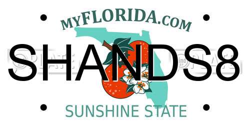 SHANDS8 Florida License Plate