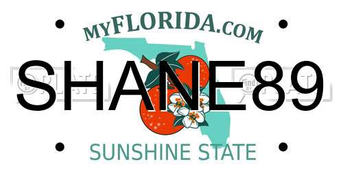 SHANE89 Florida License Plate