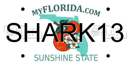 SHARK13 Florida License Plate