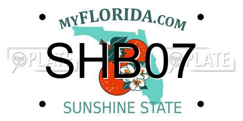 SHB07 Florida License Plate
