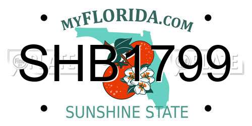 SHB1799 Florida License Plate