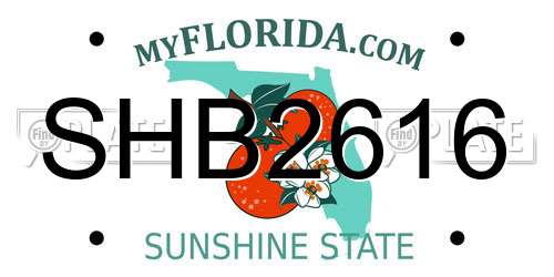 SHB2616 Florida License Plate
