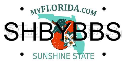 SHBYBBS Florida License Plate