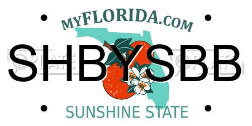 SHBYSBB Florida License Plate