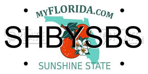 SHBYSBS Florida License Plate
