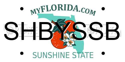 SHBYSSB Florida License Plate