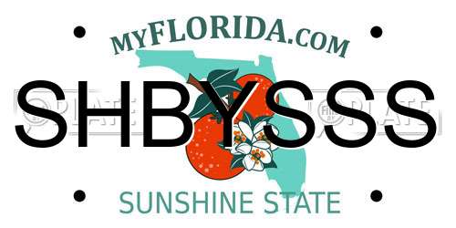 SHBYSSS Florida License Plate