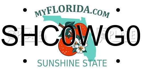 SHC0WG0 Florida License Plate