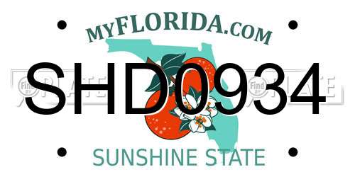 SHD0934 Florida License Plate