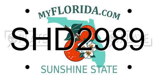 SHD2989 Florida License Plate