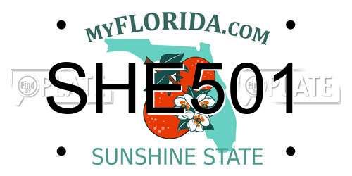 SHE501 Florida License Plate