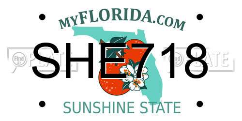 SHE718 Florida License Plate