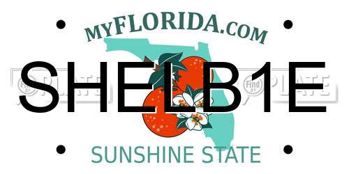 SHELB1E Florida License Plate
