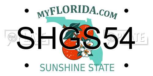 SHGS54 Florida License Plate