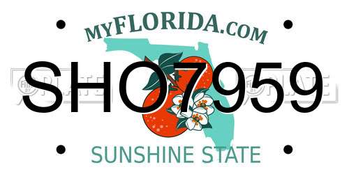 SHO7959 Florida License Plate