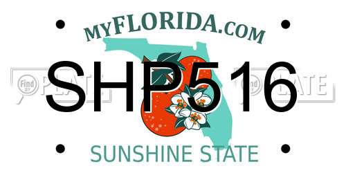 SHP516 Florida License Plate