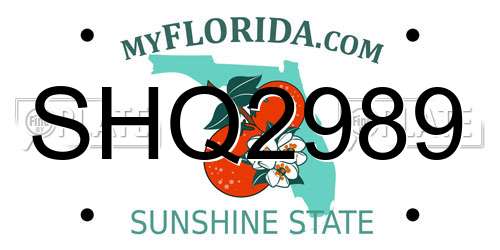 SHQ2989 Florida License Plate