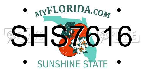 SHS7616 Florida License Plate