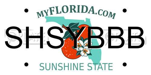 SHSYBBB Florida License Plate