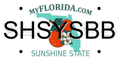 SHSYSBB Florida License Plate