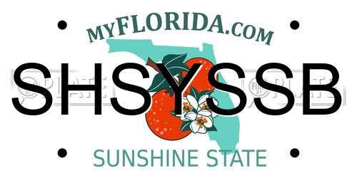 SHSYSSB Florida License Plate