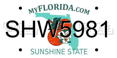 SHW5981 Florida License Plate