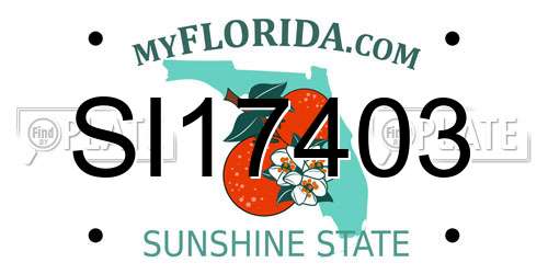 SI17403 Florida License Plate