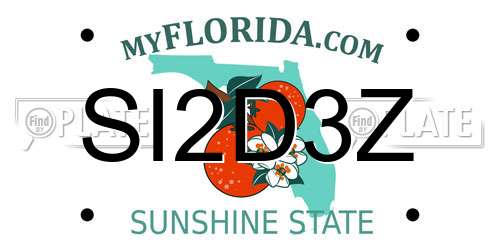 SI2D3Z Florida License Plate