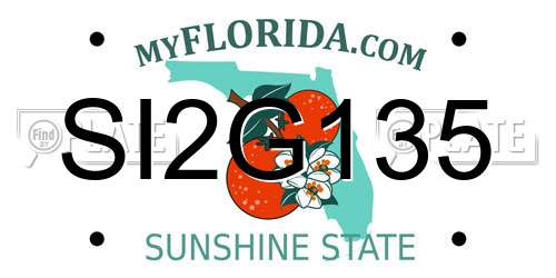 SI2G135 Florida License Plate