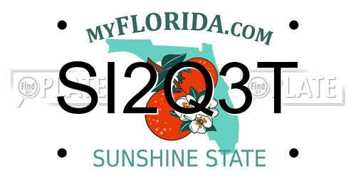 SI2Q3T Florida License Plate