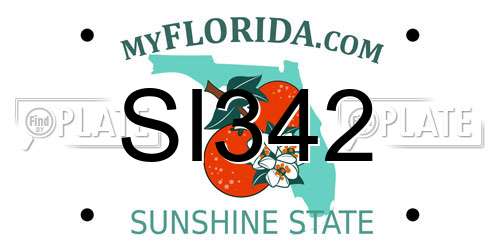 SI342 Florida License Plate