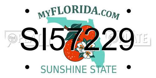 SI57229 Florida License Plate