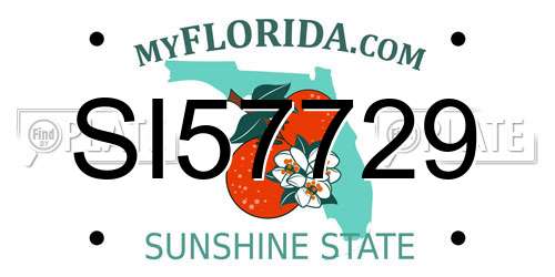 SI57729 Florida License Plate