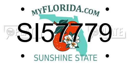 SI57779 Florida License Plate