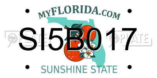 SI5B017 Florida License Plate