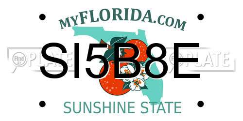 SI5B8E Florida License Plate