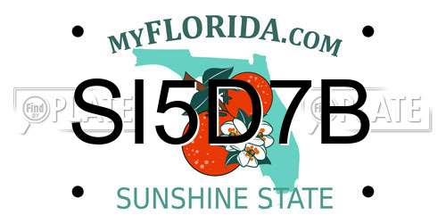 SI5D7B Florida License Plate