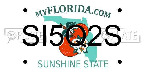 SI5Q2S Florida License Plate