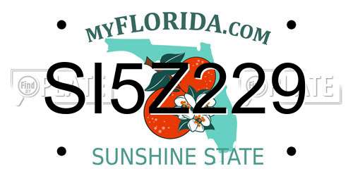 SI5Z229 Florida License Plate